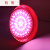 充電LED電球低圧12 V熟食ハロゲンフルーツ豚肉ライト48 v夜市の屋台ランプled電気瓶ランプ100ワットの充電式海鮮ランプ（赤と白の光）その他