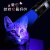猫水虫ランプ紫外線懐中電灯ペット犬皮膚猫水虫猫ランプWOOD'SランプRB-626黒鏡伍/徳/氏/ランプ大出力+充電器