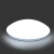 【京選好物】超亮消防応急照明両用LEDセンサー吸天井灯通路の廊下で停電して自動点灯予備灯12 W一体緊急吸天井灯（3線制）白光