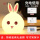 【2つのモデル=リモコン+チェキ】ピンク萌えウサギ+充電ケーブル+充電ヘッド+カラー紙